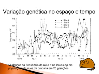Variação genética no espaço e tempo




  Mudanças na freqüência do alelo F no locus Lap em
  populações de ratos da pradaria em 20 gerações
 