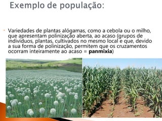 •   Variedades de plantas alógamas, como a cebola ou o milho,
    que apresentam polinização aberta, ao acaso (grupos de
    indivíduos, plantas, cultivados no mesmo local e que, devido
    a sua forma de polinização, permitem que os cruzamentos
    ocorram inteiramente ao acaso = panmixia)
 