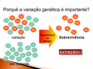 Porquê a variação genética é importante?




                 Aquecimen
   variação          to      Sobrevivência
                   global



                             EXTINÇÃO!!


  não variação
 