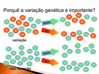Porquê a variação genética é importante?

                 norte

                  sul

   variação


                 norte

                  sul

  não variação
 