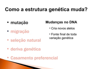 Como a estrutura genética muda?

• mutação           Mudanças no DNA
                     • Cria novos alelos
• migração
                     • Fonte final de toda
                     variação genética
• seleção natural
• deriva genética
• Casamento preferencial
 