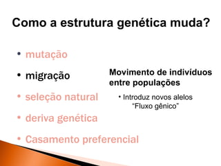 Como a estrutura genética muda?

• mutação
• migração          Movimento de indivíduos
                    entre populações
• seleção natural     • Introduz novos alelos
                           “Fluxo gênico”
• deriva genética
• Casamento preferencial
 
