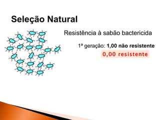 Seleção Natural
           Resistência à sabão bactericida

                  1ª geração: 1,00 não resistente
                           0,00 resistente
 