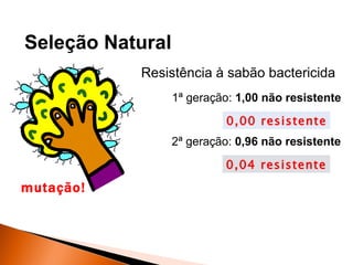 Seleção Natural
           Resistência à sabão bactericida
                  1ª geração: 1,00 não resistente
                           0,00 resistente
                  2ª geração: 0,96 não resistente
                           0,04 resistente
mutação!
 