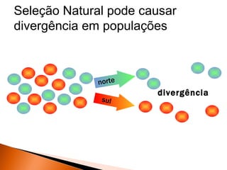 Seleção Natural pode causar
divergência em populações



              norte
                       divergência
              sul
 