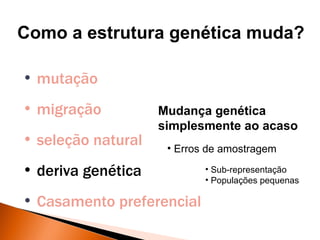 Como a estrutura genética muda?

• mutação
• migração          Mudança genética
                    simplesmente ao acaso
• seleção natural    • Erros de amostragem

• deriva genética           • Sub-representação
                            • Populações pequenas

• Casamento preferencial
 