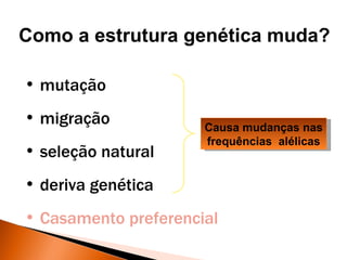Como a estrutura genética muda?

• mutação
• migração            Causa mudanças nas
                      frequências alélicas
• seleção natural
• deriva genética
• Casamento preferencial
 