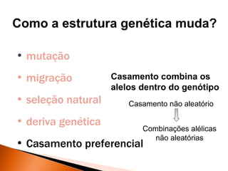 Como a estrutura genética muda?

• mutação
• migração          Casamento combina os
                    alelos dentro do genótipo
• seleção natural       Casamento não aleatório

• deriva genética
                           Combinações alélicas
                              não aleatórias
• Casamento preferencial
 