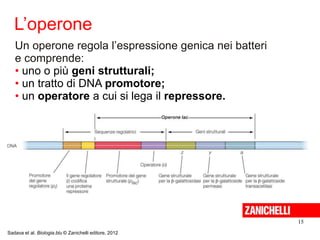 Genetica di virus e batteri | PPT