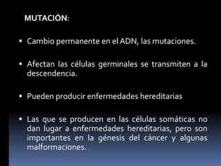 MUTACIÓN:
 Cambio permanente en el ADN, las mutaciones.
 Afectan las células germinales se transmiten a la
descendencia.
 Pueden producir enfermedades hereditarias
 Las que se producen en las células somáticas no
dan lugar a enfermedades hereditarias, pero son
importantes en la génesis del cáncer y algunas
malformaciones.
 
