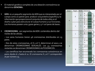  El material genético completo de una dotación cromosómica se
denomina GENOMA.
 GEN: es un pequeño segmento de ADN que es interpretado por el
cuerpo como un patrón para producir una proteína específica y la
información que proporciona el conjunto de todos ellos es el
diseño o plan para estructurar el cuerpo humano y sus funciones.
Los Humanos poseen unos 35000 genes y 3 × 109 pares de bases.
 CROMOSOMA: son segmentos de ADN contenidos dentro del
núcleo de las células.
- Los seres humanos tienen 46 cromosomas distribuidos en 23
pares.
- Dos de estos cromosomas, el X y el Y, determinan el sexo y se
denominan CROMOSOMAS SEXUALES. Los 44 cromosomas
restantes se denominan CROMOSOMAS AUTOSÓMICOS.
- Los científicos han enumerado los cromosomas autosómicos en
pares desde el 1 hasta el 22. El cromosoma X y el Y corresponden
al par número 23.
 