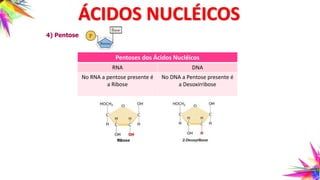 4) Pentose
Pentoses dos Ácidos Nucléicos
RNA DNA
No RNA a pentose presente é
a Ribose
No DNA a Pentose presente é
a Desoxirribose
ÁCIDOS NUCLÉICOS
 