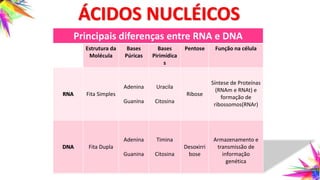 Principais diferenças entre RNA e DNA
Estrutura da
Molécula
Bases
Púricas
Bases
Pirimídica
s
Pentose Função na célula
RNA Fita Simples
Adenina
Guanina
Uracila
Citosina
Ribose
Síntese de Proteínas
(RNAm e RNAt) e
formação de
ribossomos(RNAr)
DNA Fita Dupla
Adenina
Guanina
Timina
Citosina
Desoxirri
bose
Armazenamento e
transmissão de
informação
genética
ÁCIDOS NUCLÉICOS
 