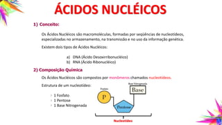ÁCIDOS NUCLÉICOS
1) Conceito:
Os Ácidos Nucléicos são macromoléculas, formadas por seqüências de nucleotídeos,
especializadas no armazenamento, na transmissão e no uso da informação genética.
Existem dois tipos de Ácidos Nucléicos:
a) DNA (Ácido Desoxirribonucléico)
b) RNA (Ácido Ribonucléico)
2) Composição Química
Os Ácidos Nucléicos são compostos por monômeros chamados nucleotídeos.
Estrutura de um nucleotídeo:
1 Fosfato
1 Pentose
1 Base Nitrogenada
Nucleotídeo
 