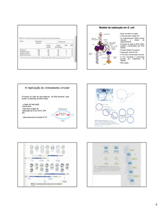 4
Modelo da replicação emModelo da replicação em E.E. colicoli
•• DnaADnaA reconhece a origemreconhece a origem
•• AA helicasehelicase abre a dupla fitaabre a dupla fita
•• AsAs topoisomerasestopoisomerases (DNA(DNA girasegirase))
reduzem a tensão doreduzem a tensão do
desenrolamentodesenrolamento
•• Proteínas de união ao DNA (SSB),Proteínas de união ao DNA (SSB),
mantêm a estabilidade das fitasmantêm a estabilidade das fitas
simples .simples .
•• PrimasePrimase ((DnaGDnaG): Iniciadores): Iniciadores
•• Holoenzima: DNA Pol IIIHoloenzima: DNA Pol III
•• A fita líder é sintetizada continuaA fita líder é sintetizada continua
•• A fita retardada é sintetizadaA fita retardada é sintetizada
através dos fragmentos deatravés dos fragmentos de
OkazakiOkazaki
•• DNADNA LigaseLigase
A replicação do cromossomo circular
•• origem de replicaçãoorigem de replicação
bidirecionalbidirecional
••Uma única origem deUma única origem de
replicação em E.replicação em E.colicoli ((OriCOriC, 245, 245
pb)pb)
•• semiconservativa direção 5’semiconservativa direção 5’ 33’’
••Processo de cópia de uma molécula de DNA parental paraProcesso de cópia de uma molécula de DNA parental para
formar 2 moléculas de DNA filhasformar 2 moléculas de DNA filhas
 