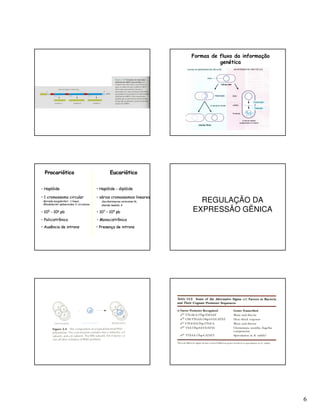 6
Formas de fluxo da informação
genética
ProcarióticoProcariótico EucarióticoEucariótico
•• 101055 -- 101066 pbpb
•• HaplóideHaplóide
•• 1 cromossomo circular1 cromossomo circular
BorreliaBorrelia burgdorferiburgdorferi : 1 linear,: 1 linear,
RhodobacterRhodobacter sphaeroidessphaeroides:: 2 circulares2 circulares
•• 101077 –– 101099 pbpb
•• HaplóideHaplóide -- diplóidediplóide
•• PolicistrônicoPolicistrônico
•• vários cromossomos linearesvários cromossomos lineares
SaccharomycesSaccharomyces cerevisiaecerevisiae 16,16,
GiardiaGiardia lamblialamblia 44
•• Ausência deAusência de intronsintrons •• Presença dePresença de intronsintrons
•• MonocistrônicoMonocistrônico
REGULAÇÃO DA
EXPRESSÃO GÊNICA
 