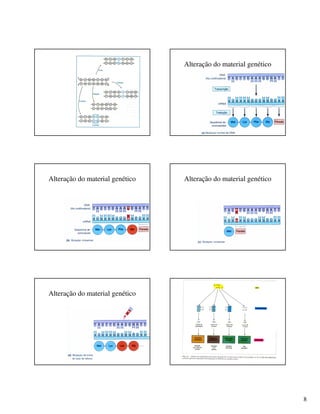 8
Alteração do material genético
Alteração do material genético Alteração do material genético
Alteração do material genético
 