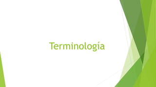 Terminología
 