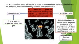 Las acciones abarcan no sólo desde la etapa preconcepcional hasta el fallecimiento
del individuo, sino también el seguimiento intergeneracional.
El individuo hereda
varios alelos de genes
diferentes que
proporcionan un riesgo
genético que solo se
manifiestan en ciertas
condiciones
ambientales.
Ocurre ante la
alteración de un solo
gen.
Son mas
frecuentes
La medicina genética
básicamente se encarga del
estudio y tratamiento de
animalias cromosómicas
Monogénicas Multifactoriales
 