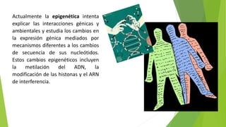 Actualmente la epigenética intenta
explicar las interacciones génicas y
ambientales y estudia los cambios en
la expresión génica mediados por
mecanismos diferentes a los cambios
de secuencia de sus nucleótidos.
Estos cambios epigenéticos incluyen
la metilación del ADN, la
modificación de las histonas y el ARN
de interferencia.
 