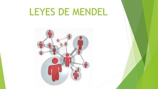 LEYES DE MENDEL
 