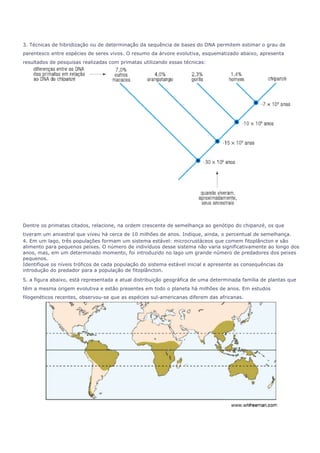 3. Técnicas de hibridização ou de determinação da sequência de bases do DNA permitem estimar o grau de 
parentesco entre espécies de seres vivos. O resumo da árvore evolutiva, esquematizado abaixo, apresenta 
resultados de pesquisas realizadas com primatas utilizando essas técnicas: 
Dentre os primatas citados, relacione, na ordem crescente de semelhança ao genótipo do chipanzé, os que 
tiveram um ancestral que viveu há cerca de 10 milhões de anos. Indique, ainda, o percentual de semelhança. 
4. Em um lago, três populações formam um sistema estável: microcrustáceos que comem fitoplâncton e são 
alimento para pequenos peixes. O número de indivíduos desse sistema não varia significativamente ao longo dos 
anos, mas, em um determinado momento, foi introduzido no lago um grande número de predadores dos peixes 
pequenos. 
Identifique os níveis tróficos de cada população do sistema estável inicial e apresente as consequências da 
introdução do predador para a população de fitoplâncton. 
5. a figura abaixo, está representada a atual distribuição geográfica de uma determinada família de plantas que 
têm a mesma origem evolutiva e estão presentes em todo o planeta há milhões de anos. Em estudos 
filogenéticos recentes, observou-se que as espécies sul-americanas diferem das africanas. 
 