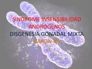 SINDROME INSENSIBILIDAD
      ANDROGENOS
DISGENESIA GONADAL MIXTA
        VARON XX
 