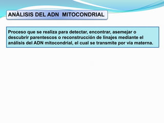 ANÀLISIS DEL ADN  MITOCONDRIALProceso que se realiza para detectar, encontrar, asemejar o descubrir parentescos o reconstrucción de linajes mediante el análisis del ADN mitocondrial, el cual se transmite por vía materna.