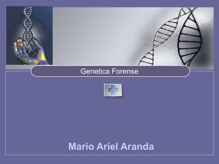 LOGO 
Genetica Forense 
Mario Ariel Aranda 
 