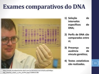 Exames comparativos do DNA
11
1) Seleção de
intervalos
específicos do
DNA;
2) Perfis de DNA são
comparados entre
si;
3) Presença ou
ausência de
vínculo genético;
4) Testes estatísticos
são realizados.
http://msalx.mundoestranho.abril.com.br/2014/01/13/1554/Ecos0/640px-
cbp_chemist_reads_a_dna_profile.jpeg?1389635788
 
