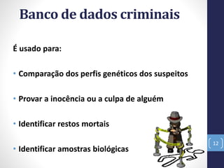 Banco de dados criminais
É usado para:
• Comparação dos perfis genéticos dos suspeitos
• Provar a inocência ou a culpa de alguém
• Identificar restos mortais
• Identificar amostras biológicas
12
 