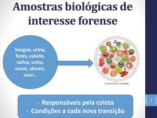 Amostras biológicas de
interesse forense
7
Sangue, urina,
fezes, cabelo,
saliva, unha,
ossos, sêmen,
suor...
- Responsáveis pela coleta
- Condições a cada nova transição
 