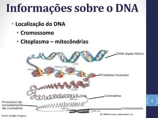 Informações sobre o DNA
• Localização do DNA
• Cromossomo
• Citoplasma – mitocôndrias
8
Fonte: Google Imagens
 