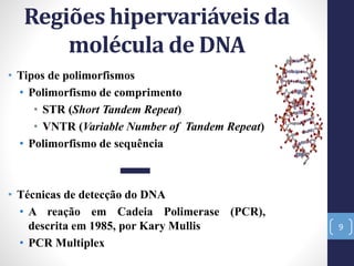 • Tipos de polimorfismos
• Polimorfismo de comprimento
• STR (Short Tandem Repeat)
• VNTR (Variable Number of Tandem Repeat)
• Polimorfismo de sequência
• Técnicas de detecção do DNA
• A reação em Cadeia Polimerase (PCR),
descrita em 1985, por Kary Mullis
• PCR Multiplex
9
Regiões hipervariáveis da
molécula de DNA
 