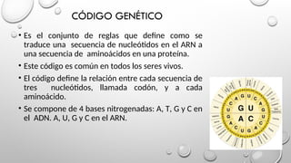 Comprehensive Overview of Genetic Information Expression: Transcription ...