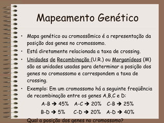 Mapeamento Genético <ul><li>Mapa genético ou cromossômico é a representação da posição dos genes no cromossomo. </li></ul>...