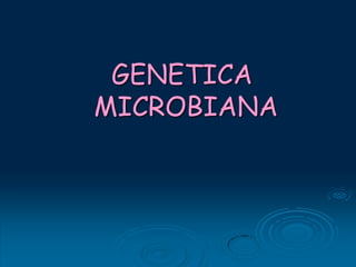 GENETICA
MICROBIANA
 