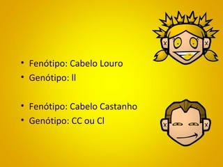 • Fenótipo: Cabelo Louro
• Genótipo: ll
• Fenótipo: Cabelo Castanho
• Genótipo: CC ou Cl
 