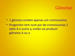 Gâmetas
• 1 gâmeta contém apenas um cromossoma
• Progenitor tem num par de cromossomas 1
alelo A e outro a, então vai produzir
gâmetas A ou a
 