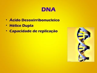 DNA
• Ácido Desoxirribonucleico
• Hélice Dupla
• Capacidade de replicação
 