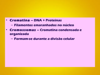 Como está organizado o
material genético?
• Cromatina – DNA + Proteínas
– Filamentos emaranhados no núcleo
• Cromossomas – Cromatina condensada e
organizada
– Formam-se durante a divisão celular
 