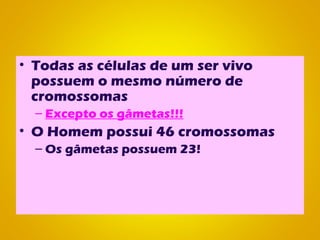 Cromossomas
• Todas as células de um ser vivo
possuem o mesmo número de
cromossomas
– Excepto os gâmetas!!!
• O Homem possui 46 cromossomas
– Os gâmetas possuem 23!
 