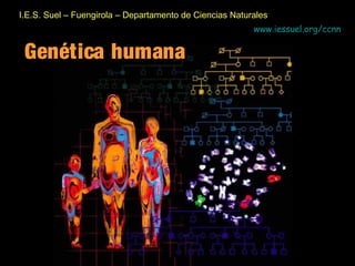 I.E.S. Suel – Fuengirola – Departamento de Ciencias Naturales
                                                         www.iessuel.org/ccnn


 Genética humana
 