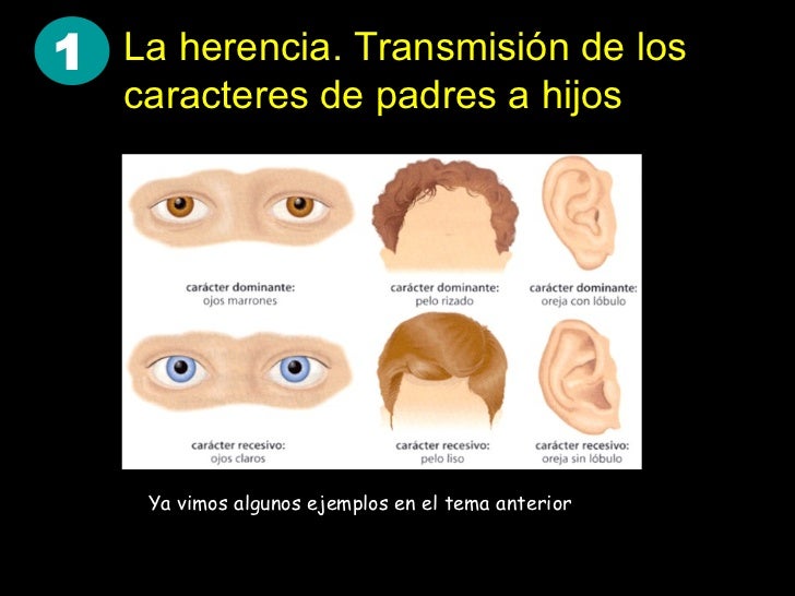 Genetica Humana Genetica Humana