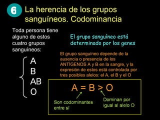 Codominante Genética humana 6 | PPT