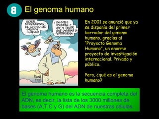 El genoma humano El genoma humano es la secuencia completa del ADN, es decir, la lista de los 3000 millones de bases (A,T,C y G) del ADN de nuestras células. En 2001 se anunció que ya se disponía del primer borrador del genoma humano, gracias al “Proyecto Genoma Humano”, un enorme proyecto de investigación internacional. Privado y público. Pero, ¿qué es el genoma humano? 8 