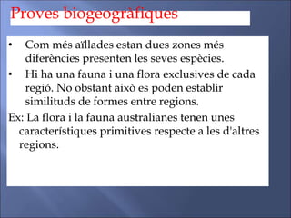 Proves biogeogràfiques
• Com més aïllades estan dues zones més
diferències presenten les seves espècies.
• Hi ha una fauna i una flora exclusives de cada
regió. No obstant això es poden establir
similituds de formes entre regions.
Ex: La flora i la fauna australianes tenen unes
característiques primitives respecte a les d'altres
regions.
 