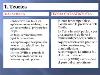 TEORIA FIXISTA TEORIA CATASTROFISTA
 Considerava que totes les
espècies eren invariables, i que
van ser creades al principi dels
temps.
- Els fòssils eren considerats
capricis de la natura.
- Les espècies que desapareixen
no tenen cap relació amb les
espècies actuals.
- Linné (s.XVIII), el pare de la
nomenclatura binomial va
defensar aquesta postura
 Intenta fer compatible el
fixisme amb la presència dels
fòssils.
- La Terra ha estat poblada per
una successió de flores i
faunes independents entre si.
- Aquests éssers eren producte
d’actes creadors seguits
d’aniquilacions
catastròfiques. La última fou
el diluvi universal.
- Cuvier (s.XVIII) es considera
el pare del catastrofisme
 