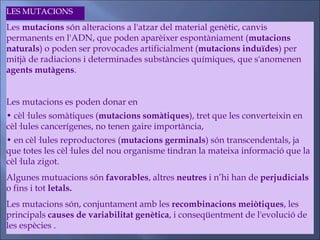 LES MUTACIONS
Les mutacions són alteracions a l'atzar del material genètic, canvis
permanents en l'ADN, que poden aparèixer espontàniament (mutacions
naturals) o poden ser provocades artificialment (mutacions induïdes) per
mitjà de radiacions i determinades substàncies químiques, que s'anomenen
agents mutàgens.
Les mutacions es poden donar en
• cèl·lules somàtiques (mutacions somàtiques), tret que les converteixin en
cèl·lules cancerígenes, no tenen gaire importància,
• en cèl·lules reproductores (mutacions germinals) són transcendentals, ja
que totes les cèl·lules del nou organisme tindran la mateixa informació que la
cèl·lula zigot.
Algunes mutuacions són favorables, altres neutres i n’hi han de perjudicials
o fins i tot letals.
Les mutacions són, conjuntament amb les recombinacions meiòtiques, les
principals causes de variabilitat genètica, i conseqüentment de l'evolució de
les espècies .
 