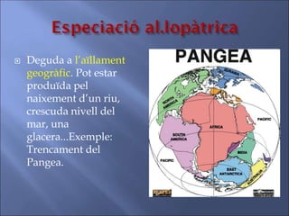  Deguda a l’aïllament
geogràfic. Pot estar
produïda pel
naixement d’un riu,
crescuda nivell del
mar, una
glacera...Exemple:
Trencament del
Pangea.
 